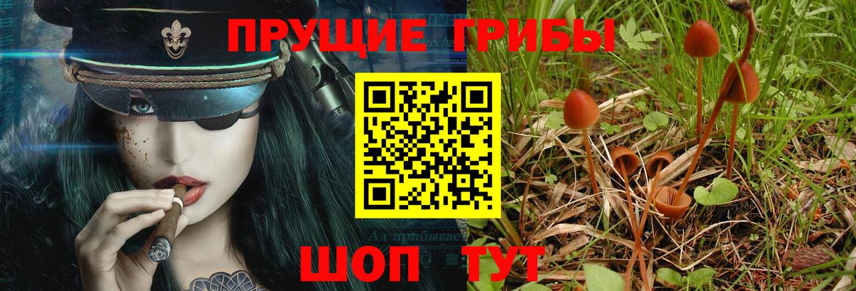 Нововоронеж  Псилоцибиновые грибы мухоморы  продажа наркотиков  Вход с VPN 
